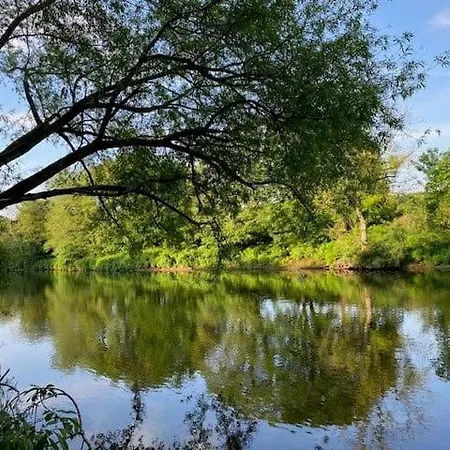 Geltsdale Wing, 1st Floor With Countryside Views, Close To Pub & Restaurant بيت للعطل